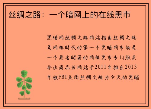 丝绸之路：一个暗网上的在线黑市